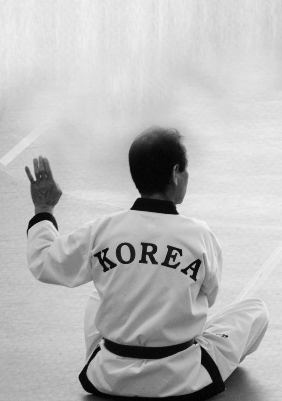 Kang-Ho Taekwondo, les techniques