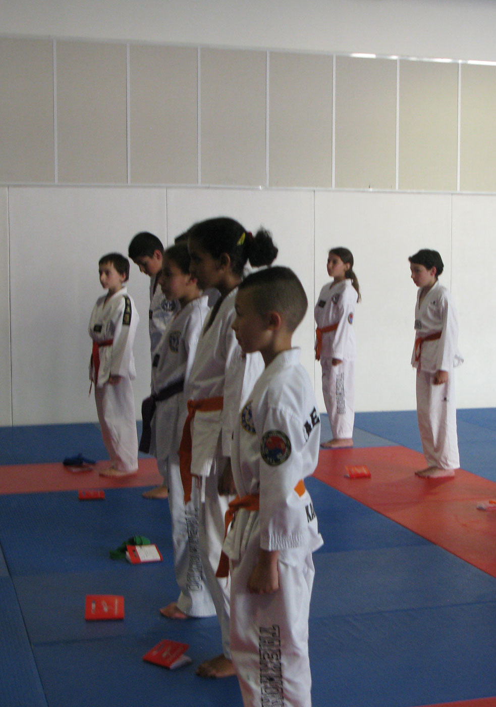 Taekwondo, passage de grade