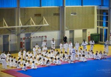 stage kang ho taekwondo